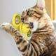 thumbnail image 4 of Juguete interactivo de hierba gatera para gatos de interior Zhivalor 220434-2, 4 of 4