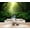 Color 3, variant on Wallpaper Tropical Rainforest Sunlight Dense Green Jungle foliage Peel and Stick Wall Murals 100"H x 144"W Removable PVC Wall Paper Self-Adhesive Wall Paintings Art Decor for Bedroom Living Room