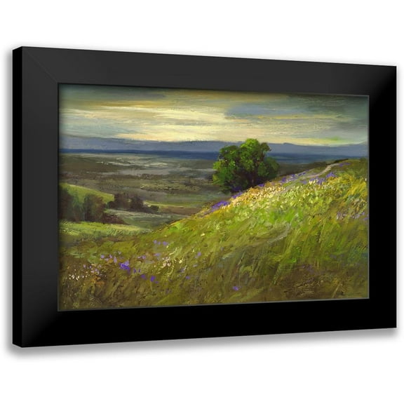 Finch, Sheila 14x11 Black Modern Framed Museum Art Print Titled - Path Up Windy Hill