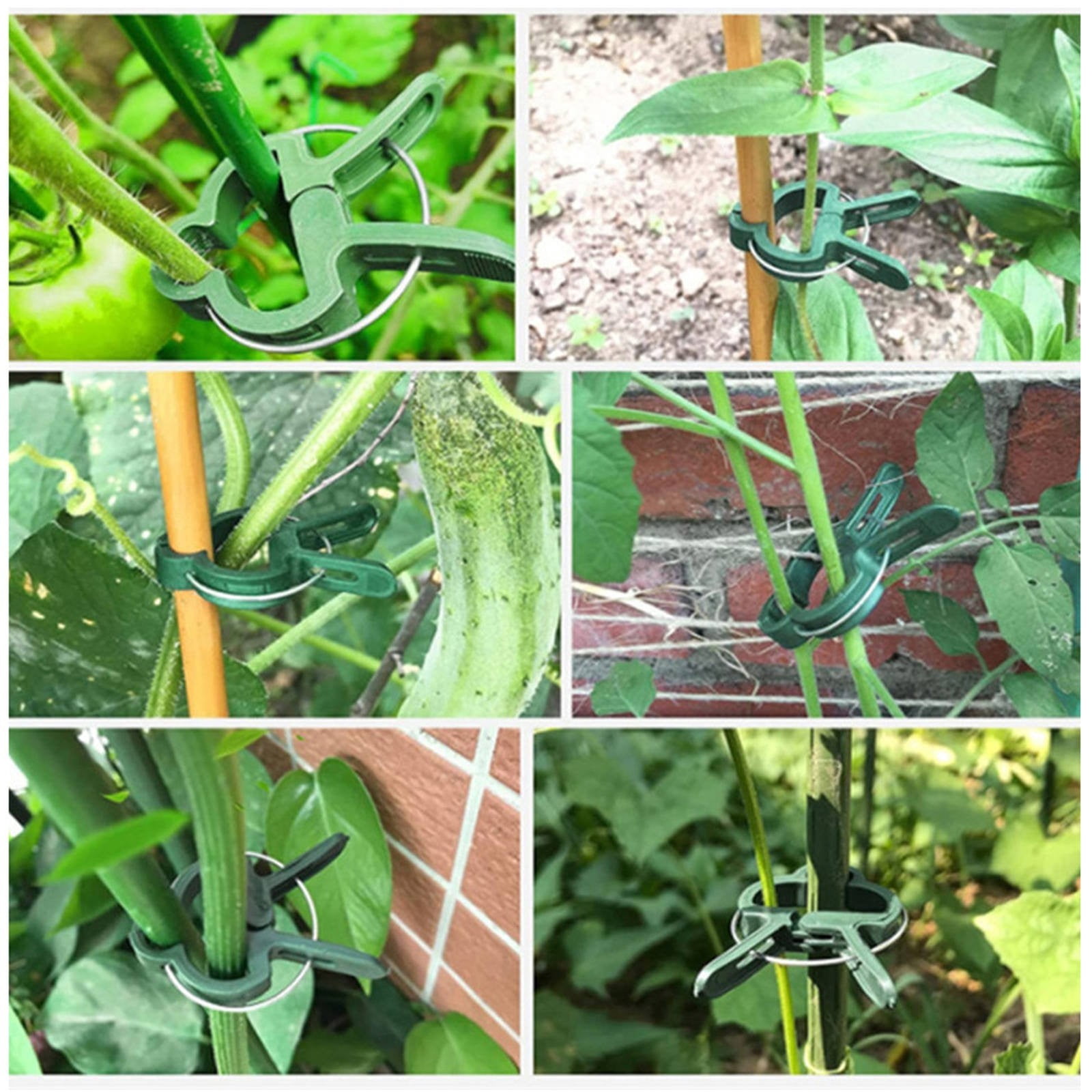 SMKE Reusable Garden Plant Clips - Flexible Plastic Vine Support For Tomato Cages Greenhouses,Vine Stem Holder,Plant Support Clips 20pcs - Small Swallow Shape Garden Vine Clip for Tomato Flower Stem