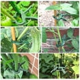 thumbnail image 5 of Haidf 20Pcs Plant Clips for Climbing Plants, Reusable Garden Clips for Supporting Plant Stems, Stalks and Vines, Gentle Plant Support Clips for Trellis, Bamboo Stakes and Tomato Cage, 2.4", Green, 5 of 8