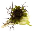 thumbnail image 2 of Nearly Natural 4840-S3 Wispy Succulent With Seashell - Set of 3, 2 of 3