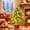 Green, variant on 26 Inch Prelit Tabletop Christmas Tree Artificial Norfolk Pine 50 LED Lights with 8 Modes & Timer Decorated Tabletop Lighted Christmas Tree with Red Gold Berries Christmas Ornaments Velvet Base