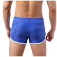 thumbnail image 4 of Mens Underwear Men's Underwear Low Waist Fashion Color Stripes Comfortable Erotic Panties, 4 of 9