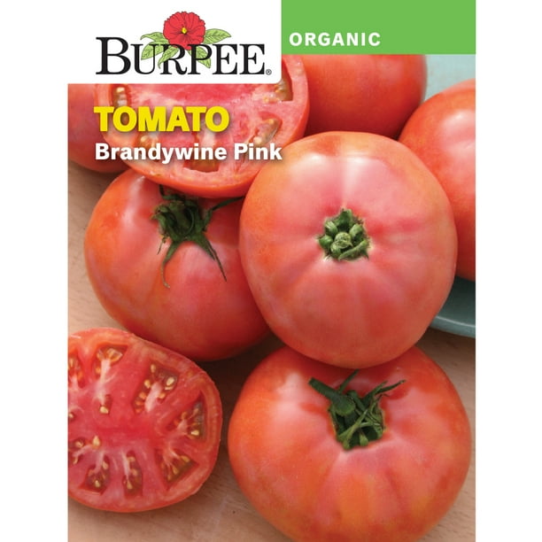 Burpee Organic Brandywine Pink Tomato Vegetable Seed, 1pack Walmart