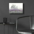 thumbnail image 5 of Epic Art 'Summer Blessings' by Lori Deiter Acrylic Glass Wall Art, 16"x12", 5 of 8