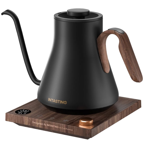 Hervidor eléctrico INTASTING de cuello de cisne 0,9 L con temperatura precisa
