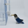 Water Bottle Automatic Feeder for Birds Small Animals No Drip for Pet