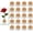 20Pcs, variant on 10Pcs Floral Frogs 23mm/0.9inch Round Kenzans Mini Flower Frog Pin Frog Japanese Ikebana Spiky Frog Fixed Tools Metal Flower Arranger Tool Pin Holder for Small Vase