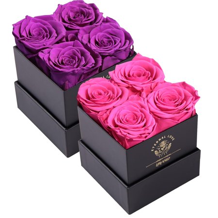 Preserved Roses Purple + Radiant Pink Bundle, Flowers for Delivery Prime - Roses in a Box - Real Roses That Last a Year - Fresh Flowers - Unique Gifts for Women, Mothers Day, Valentine’s Day