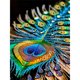 thumbnail image 1 of Kit Con Forma Especial Parcial 5D DIY Plumas 30x40cm, 1 of 9