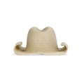 thumbnail image 2 of No Boundaries Straw Rancher Hat, Women's, Natural, 2 of 3