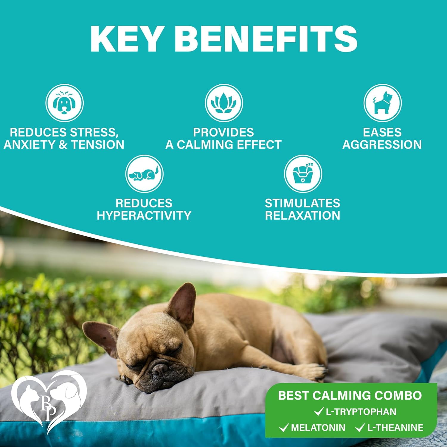 Beloved Pets Calming Chews for Dogs – Melatonin Dog Treats for Anxiety Relief, Stress Support & Sleep Aid – Relaxing Supplement for Fireworks, Thunder, Travel & Barking – Natural Anti-Stress Dog Chew