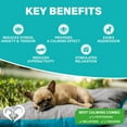 thumbnail image 5 of Beloved Pets Calming Chews for Dogs – Melatonin Dog Treats for Anxiety Relief, Stress Support & Sleep Aid – Relaxing Supplement for Fireworks, Thunder, Travel & Barking – Natural Anti-Stress Dog Chew, 5 of 9
