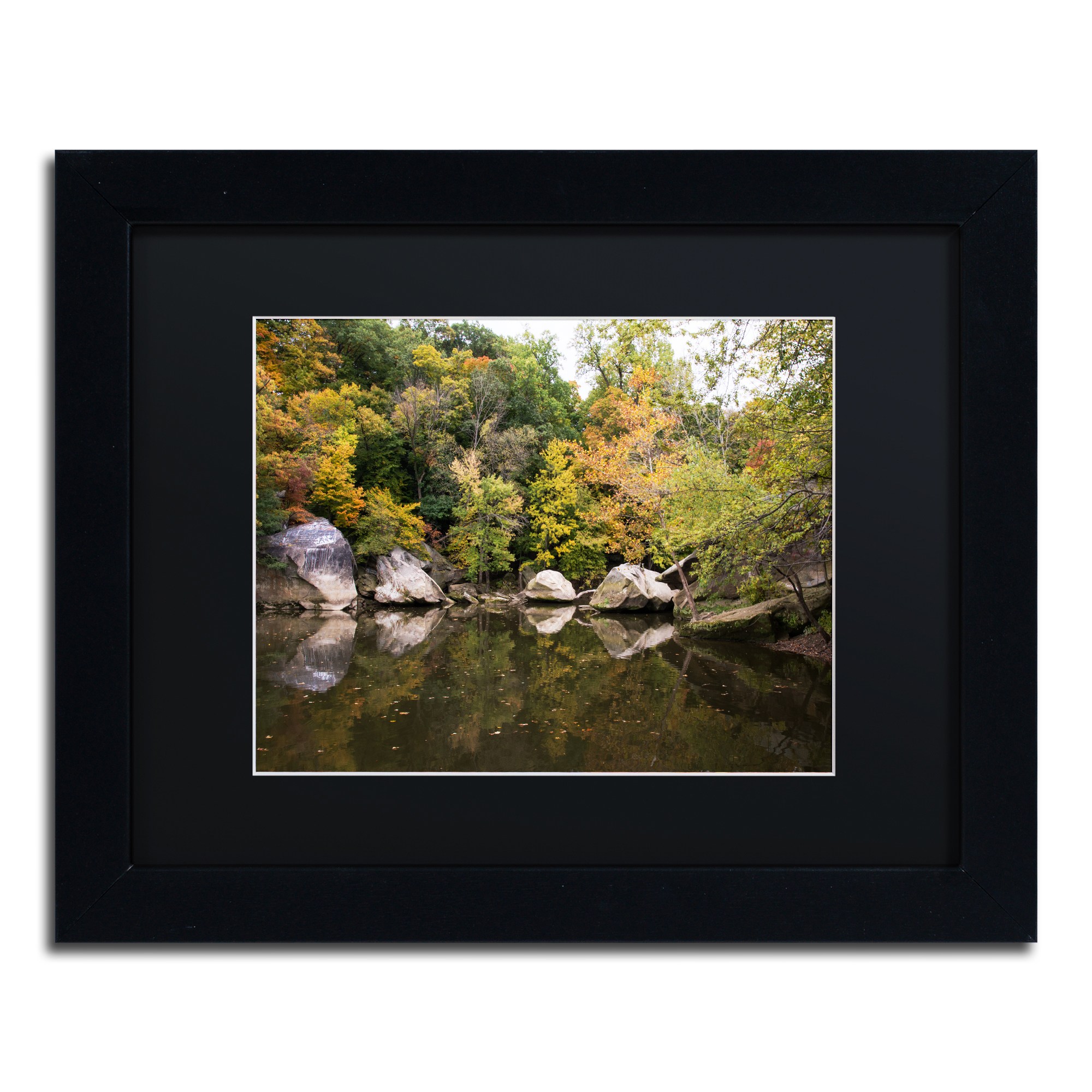 Trademark Fine Art "Graffiti Fall" Canvas Art by Kurt Shaffer, Black Matte, Black Frame