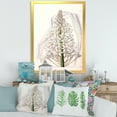 thumbnail image 3 of Designart 'White Vintage Orchid I' Traditional Framed Art Print, 3 of 4