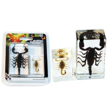 Centipede Frosted Paperweight main image 0