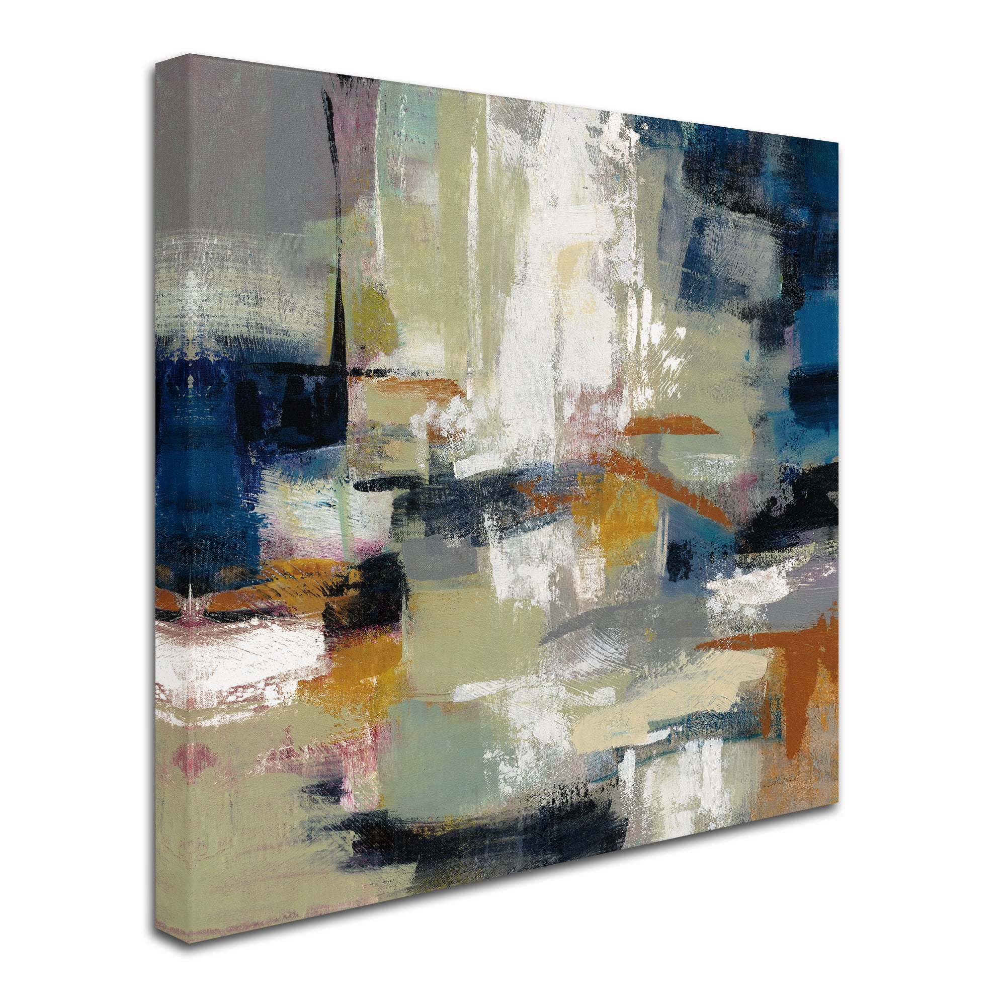Trademark Fine Art 'Full Moon II with White' Canvas Art by Silvia Vassileva