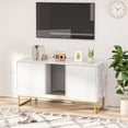 thumbnail image 3 of VEANERWOOD Cat Litter Box Enclosure with Hidden Entry and Two Cabinet Doors, Multi-Functional Cat Washroom, 3 of 9
