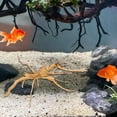 thumbnail image 3 of Wekity Driftwood for Aquarium,3PCs Natural Aquarium Tree Root,Realistic Reptile Fish Tank Decor,Solid Reptile Wood Branches Terrarium Decor,Turtle Tank Wood Tree Root for Aquarium Decoration-0619, 3 of 5