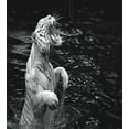 thumbnail image 3 of Ambesonne Black White Duvet Cover Set, Exotic White Tiger, Twin, Charcoal Grey Pale Grey, 3 of 3