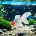 thumbnail image 4 of ZZkhGO Artificial Goldfish, Floating Plastic Aquarium Fish, Realistic Moving Decor for Pond Tank Water Feature, 4 of 6