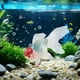 thumbnail image 4 of Decoración artificial flotante de pez dorado | Peces falsos de plástico realistas para acuario | Peces dorados amarillos y rojos nadando de forma realista para estanque o tanque, 4 of 6