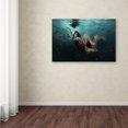 thumbnail image 3 of Trademark Fine Art 'Ocean Of Roses' Canvas Art by Martha Suherman, 3 of 3