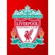 thumbnail image 3 of Cuadros Decorativos 5D DIY diamante pintura Liverpool equipo completo redondo taladro mosaico strass artesanía JShteea Nuevos Originales, 3 of 9