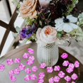 thumbnail image 4 of 500pcs Fake Ice Rocks Acrylic Ice Rocks Fake Crushed Ices Table Scatter Decor, 4 of 4