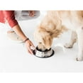 thumbnail image 3 of Stainless Steel Dog Bowls, Food and Water Non Slip Anti Skid Stackable Pet Puppy Dishes for Small, Medium and Large Dogs (2 Pack), 3 of 6