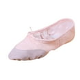 thumbnail image 1 of AnuirheiH Girls Dancing Shoes Ballet Elastic Band Dance Shoes Canvas Gymnastics Flats Split Sole Shoes 4$ off 2nd item, 1 of 8