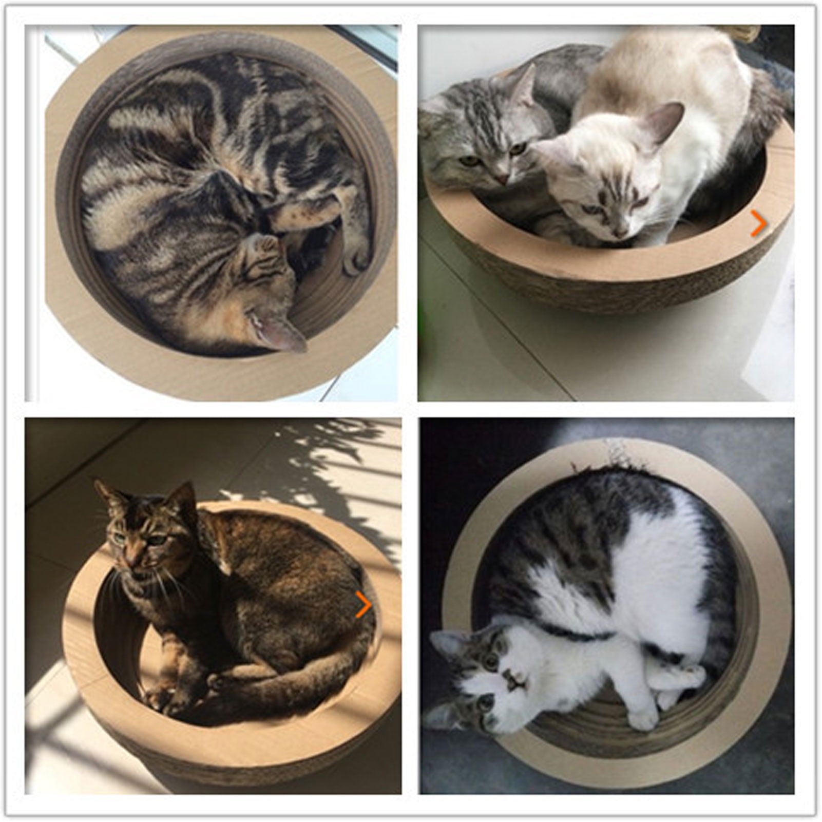 Dome cat scratcher online