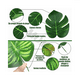 thumbnail image 3 of Hojas Artificiales De Palma Tropicales Decor 10 Tipos, 80 Pzs VERDE, 3 of 5