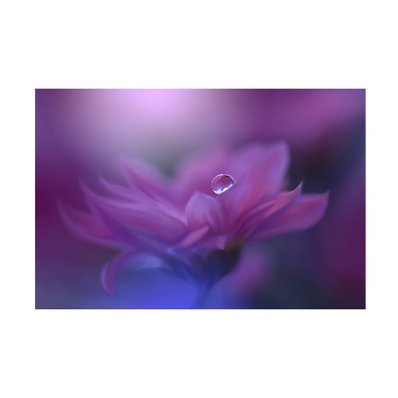 Trademark Fine Art Juliana Nan Without Form, Without Limit.. Canvas Wall Art