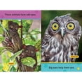thumbnail image 3 of Odd Animals (National Geographic Kids Pre-Reader), 3 of 4
