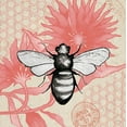 thumbnail image 2 of Medley, Elizabeth 12x12 White Modern Wood Framed Museum Art Print Titled - Bee on Pink Flower Square, 2 of 4