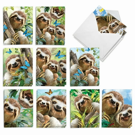 The Best Card Company 20 Assorted Thank You Notes Box Set 4 x 5.12 Inch with Envelopes (10 Designs, 2 Each) Smiling Sloths AM6864TYG-B2x10