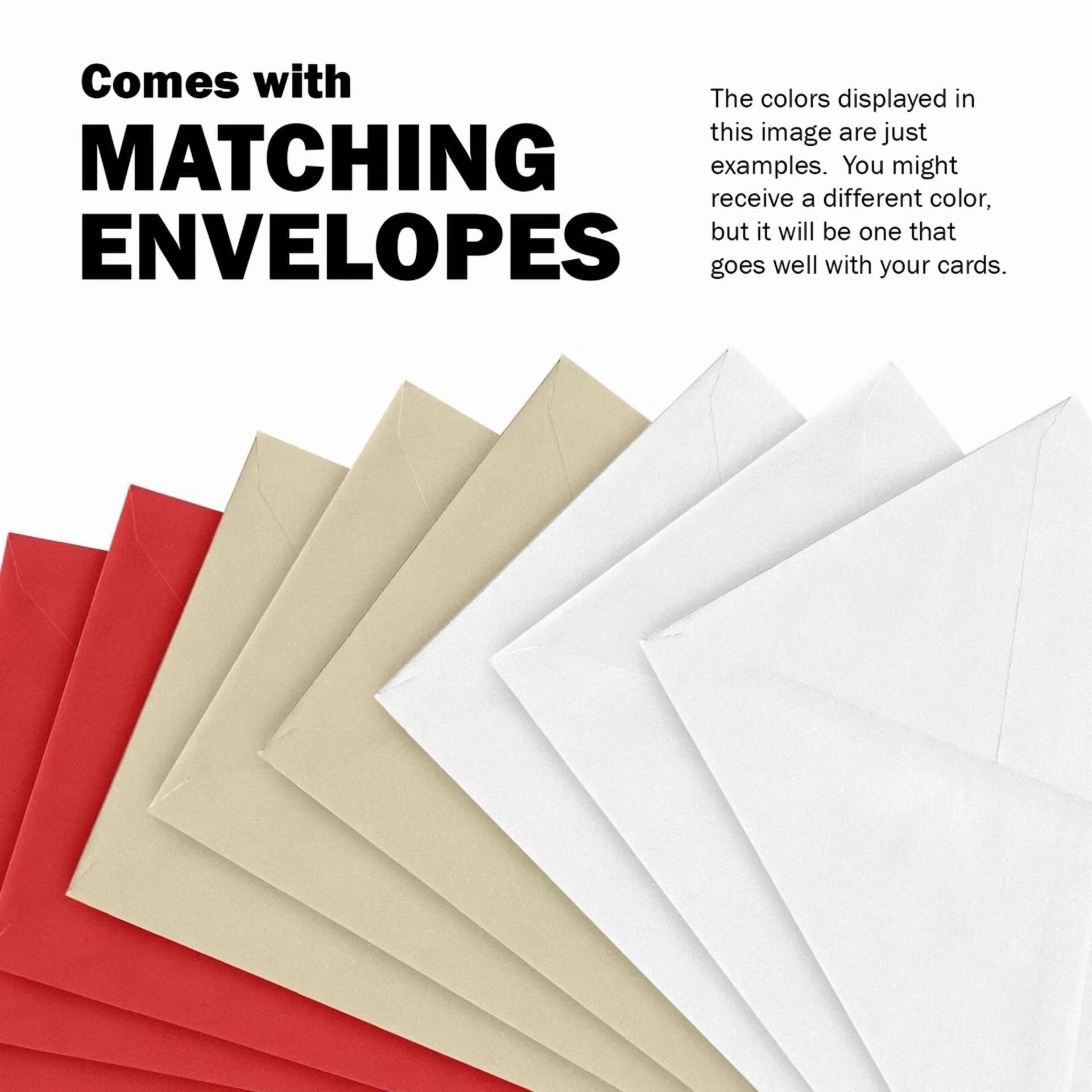 Set Of 6 Elegant Thank You Blank Note Cards + Envelopes By Premium Greetings