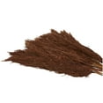 thumbnail image 5 of 35" Dried Plant Natural Foliage Pampas Bouquet with Long Stems, by DecMode, 5 of 8