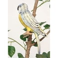 thumbnail image 2 of Hansa Plush Budgie Blue and Yellow Parakeet, 6", 2 of 2