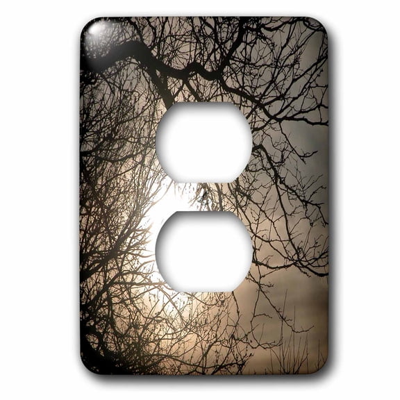 3dRose, Golden Sun Though a Tree, 2 plug outlet cover