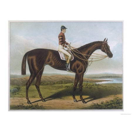 Winner of the Derby and St. Leger in 1881 Print Wall