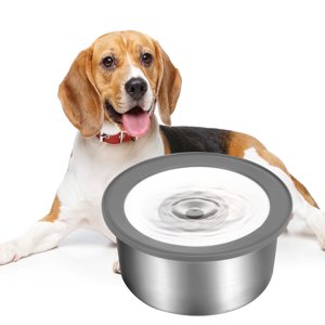 Qweryboo No Spill Stainless Steel Water Bowl