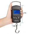 Fishing Scale (50kg) Portable Luggage Scale Electronic Hook With Lcd