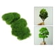 thumbnail image 5 of Polvo de Terreno de Hierba Estática 10g Macarena Hierba Verde Modelo de Arena Artificial de Paisaje Amarillo Verde, 5 of 8