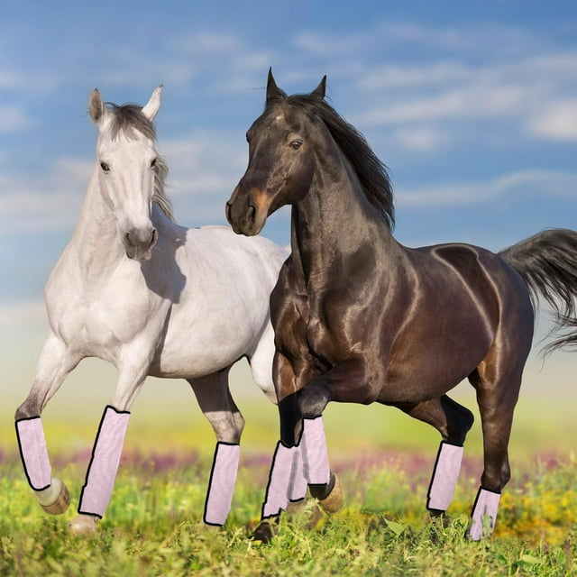 Breathable Mesh Fly Boots for Horses All Day Riding and Turnout Leg Care Gear Set with Secure Fit Design