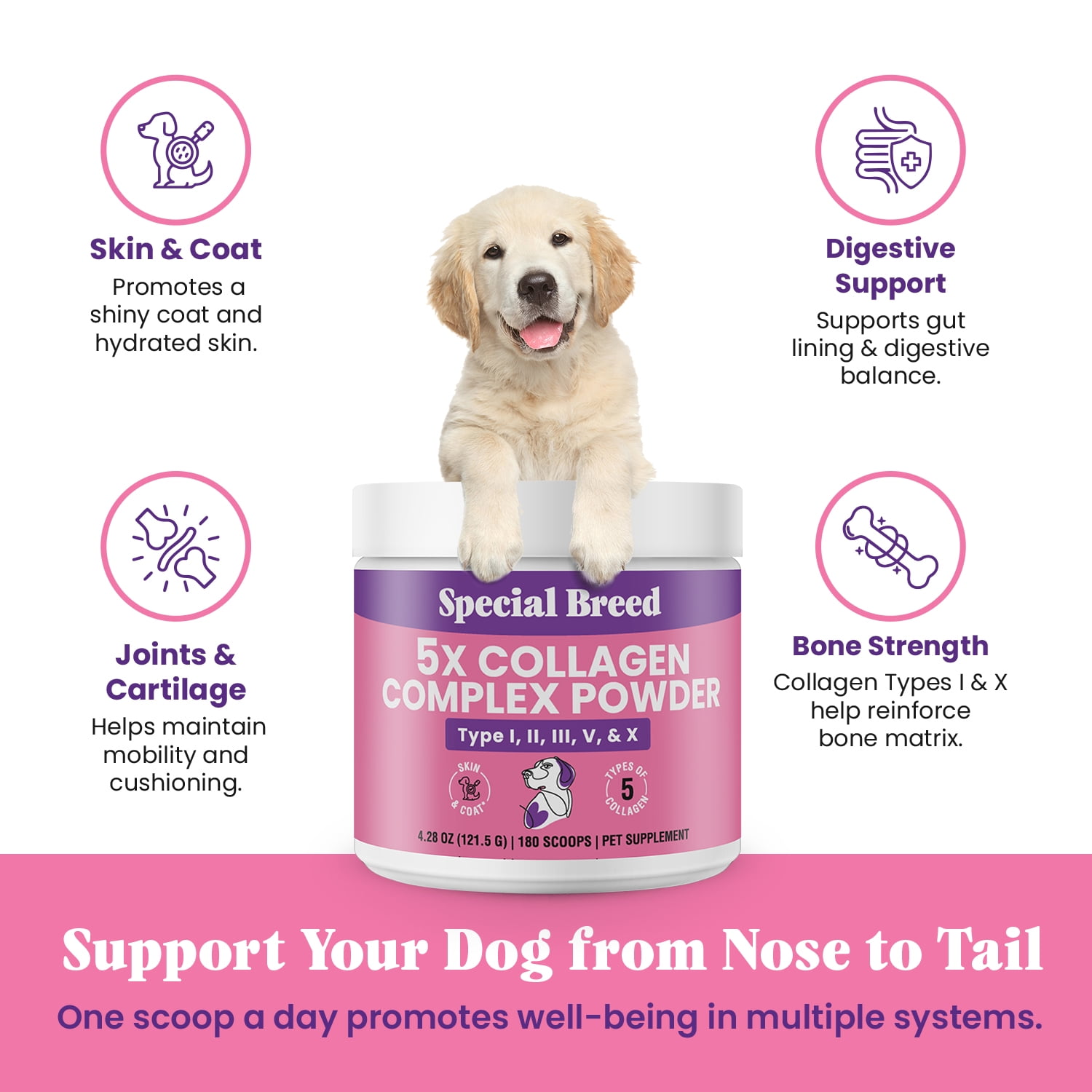 Premium 5X Collagen Powder for Dogs - Types I, II, III, V & X - Skin, Join, Gut & Coat Support - Collagen Powder with Bamboo & Vitamin C, 180 Scoops 4.28 oz