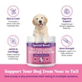 thumbnail image 4 of Premium 5X Collagen Powder for Dogs - Types I, II, III, V & X - Skin, Join, Gut & Coat Support - Collagen Powder with Bamboo & Vitamin C, 180 Scoops 4.28 oz, 4 of 9