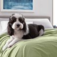 thumbnail image 2 of Martex Super Soft Fleece Blanket, King, Sage, 2 of 7